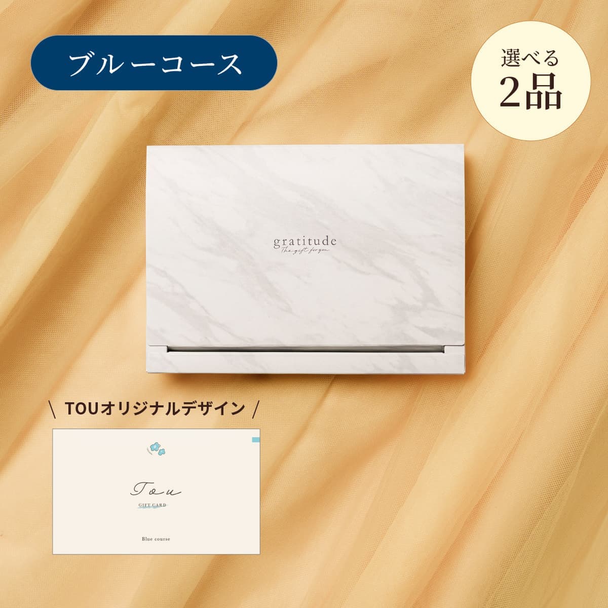 【BOX】2点ブルー CP9379【TOU限定デザイン】