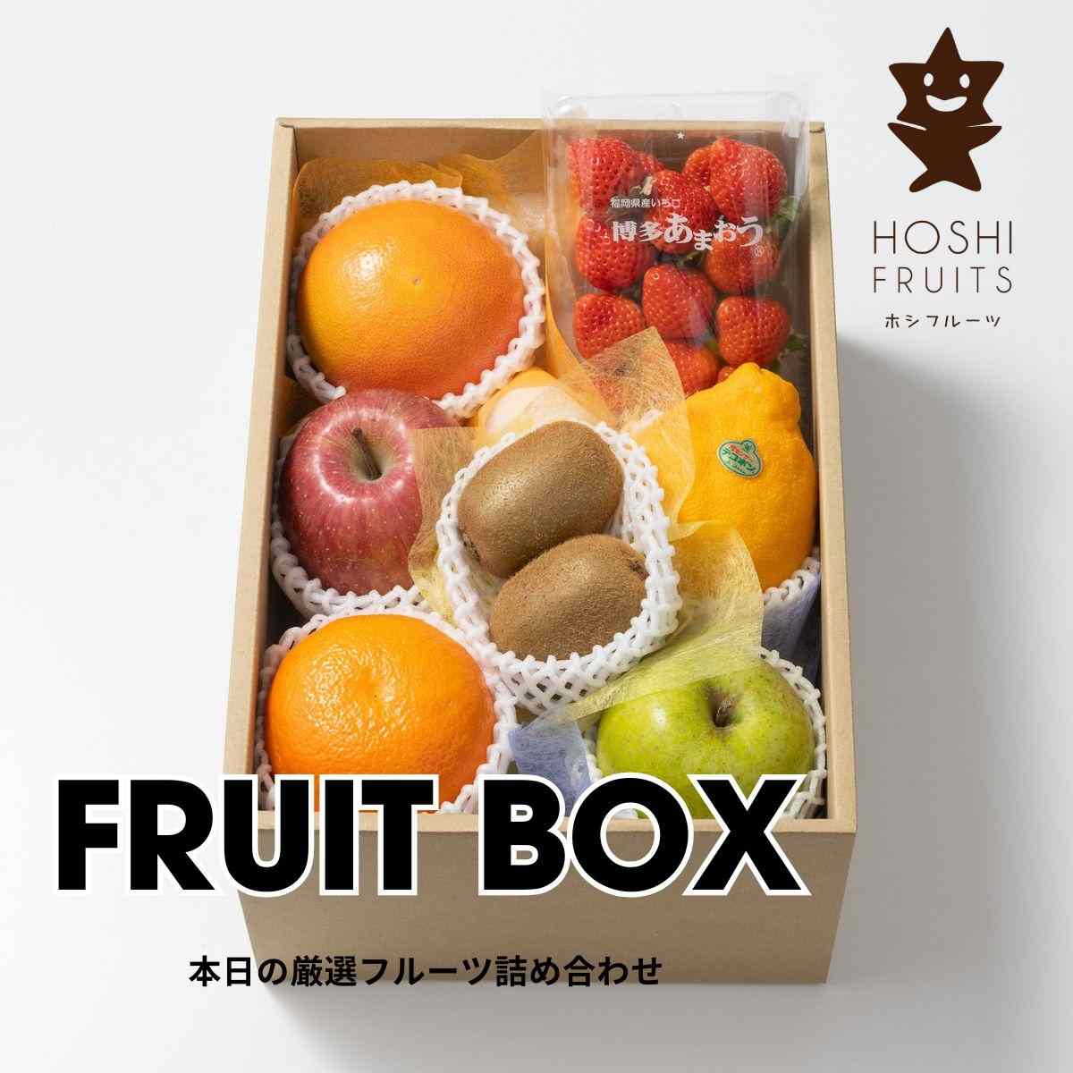 【本日の厳選】おまかせ旬のフルーツBOX C