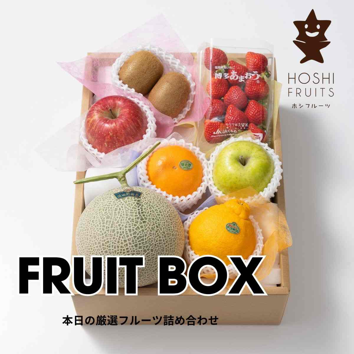 【本日の厳選】おまかせ旬のフルーツBOX D